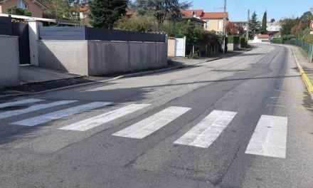 Ils débutent ce matin : attention, travaux boulevard des Alpes à Vienne, pour cinq mois