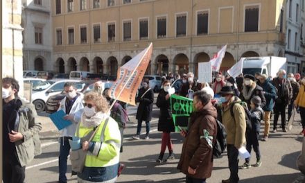  Hier sur la marché de Vienne : un peu plus d’une centaine à marcher pour le climat