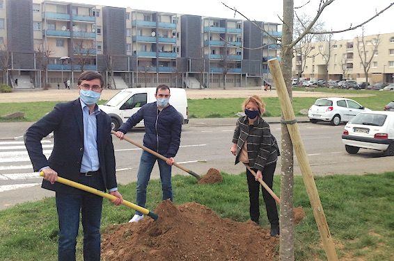 D&rsquo;ici cinq ans, l&rsquo;espace urbain viennois comptera 25 % d&rsquo;arbres en plus…