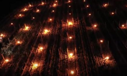 Le gel a durement touché la nuit dernière les arboriculteurs et les viticulteurs de la Vallée du Rhône