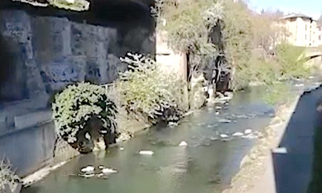 Des travaux en bords de Gère, le Forum Jobs d&rsquo;été, Jazz à Vienne,  etc. : le journal TV de la semaine