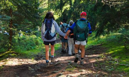 Des amendes de 135 euros dans le parc du Pilat pendant le 1er confinement annulées par le tribunal administratif