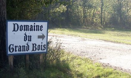 Situé près de Vienne : racheté par Huttopia, le camping naturiste du “Grand bois” (Tupin-Semons) va devenir textile