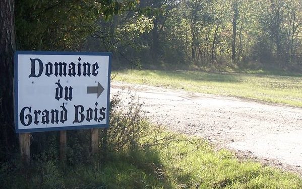 Situé près de Vienne : racheté par Huttopia, le camping naturiste du “Grand bois” (Tupin-Semons) va devenir textile
