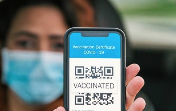 Une première en France : une manifestation pro-vaccin cet après-midi à Lyon…