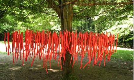 “Land art” à Chasse-sur-Rhône : des plasticiens venus de toute l’Europe “habillent” dès demain le Gorneton