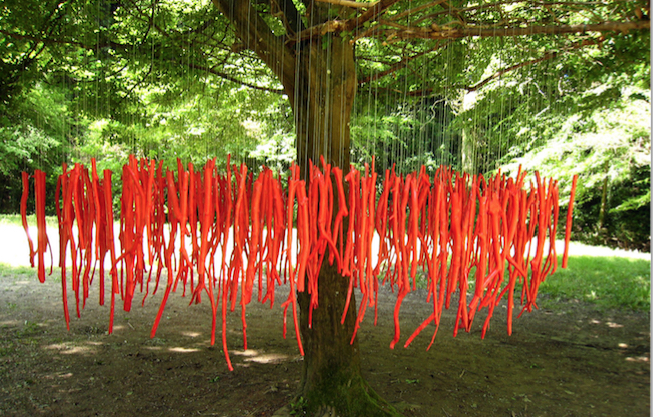 “Land art” à Chasse-sur-Rhône : des plasticiens venus de toute l’Europe “habillent” dès demain le Gorneton