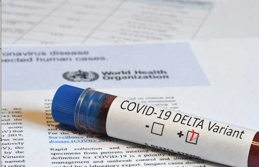 Covid-19-Le variant Delta, désormais majoritaire en Isère, quelles conséquences ?