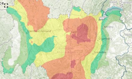 Ambroisie, risque d’allergie élevé : la vallée du Rhône en première ligne