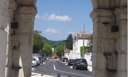 En attendant l’arrivée à l’automne d’une vingtaine d’arbres, la 1ère phase du bd F. Point à Vienne, terminée