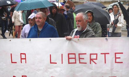 Après la manifestation du Collectif citoyen de Vienne contre le pass sanitaire : “ On va continuer !”