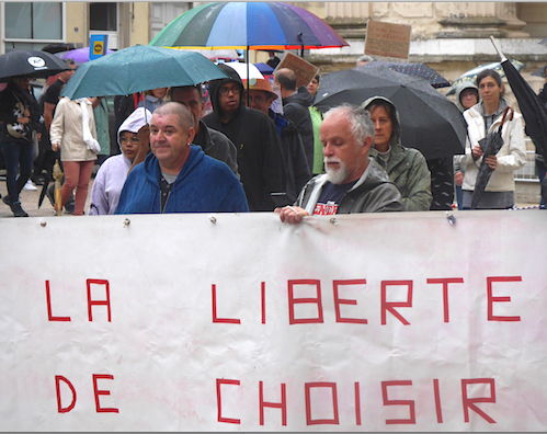 Après la manifestation du Collectif citoyen de Vienne contre le pass sanitaire : “ On va continuer !”