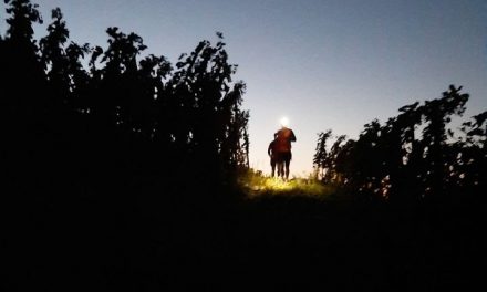 Avec un dénivelé de 1 200 mètres en semi-nocturne : Ampuis organise samedi le 1er trail en Côte-Rôtie