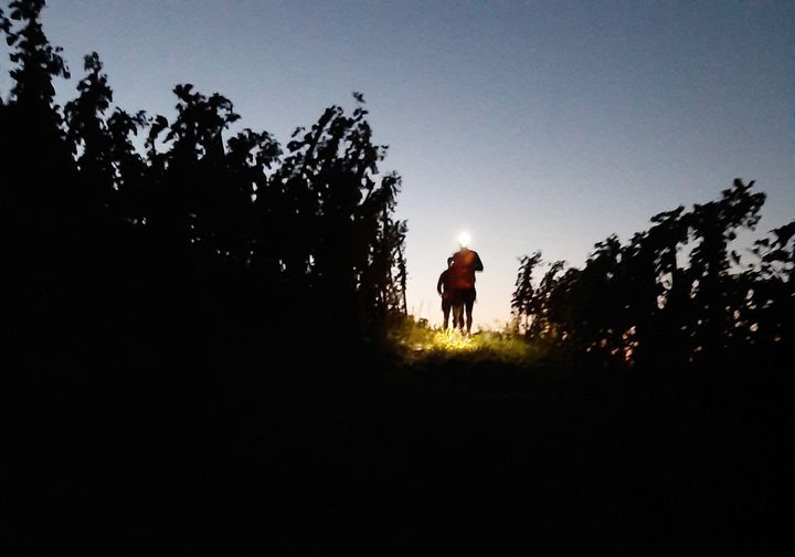Avec un dénivelé de 1 200 mètres en semi-nocturne : Ampuis organise samedi le 1er trail en Côte-Rôtie