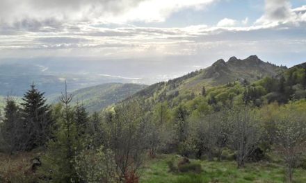 Lourdement armés, basés dans une maison isolée, des survivalistes s’entraînaient dans le Pilat