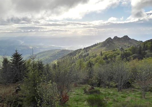 Lourdement armés, basés dans une maison isolée, des survivalistes s&rsquo;entraînaient dans le Pilat