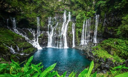  Des voyages à gagner : l’ile de la Réunion organise une chasse au trésor, aujourd’hui à Lyon…