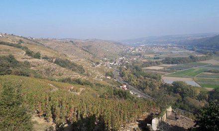 Une route des belvédères en projet le long des coteaux de la rive droite : le 1er verra le jour à Tupin-Semons