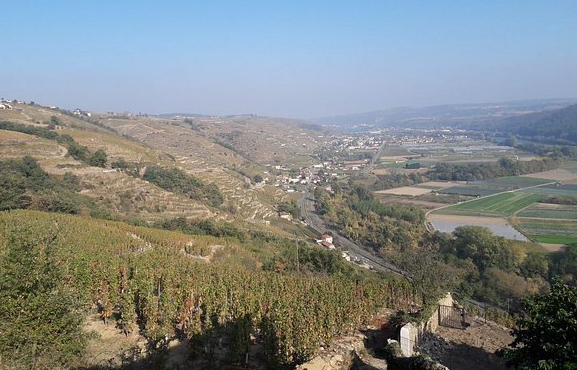 Une route des belvédères en projet le long des coteaux de la rive droite : le 1er verra le jour à Tupin-Semons