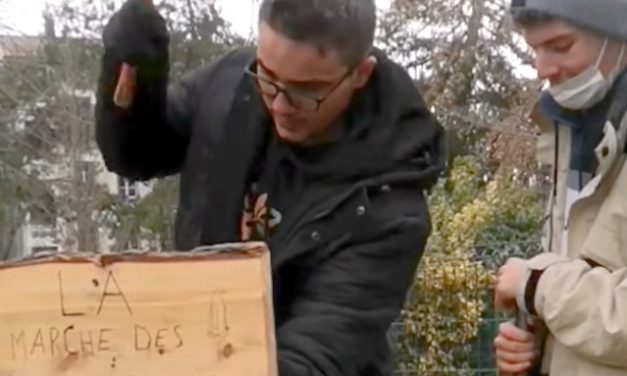 Bennes à sapins, exposition au Jardin de ville, les chiffres de l&rsquo;hôpital, etc. : le journal TV de Vienne