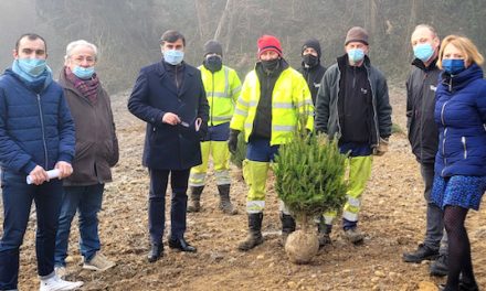 Objectif, l’autosuffisance : la Ville de Vienne plante une centaine de futurs sapins de Noël sur la commune…