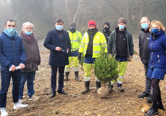 Objectif, l&rsquo;autosuffisance : la Ville de Vienne plante une centaine de futurs sapins de Noël sur la commune…