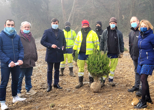 Objectif, l’autosuffisance : la Ville de Vienne plante une centaine de futurs sapins de Noël sur la commune…