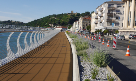 Baromètre des villes cyclables : Vienne sous la moyenne doit encore donner des coups de pédales…