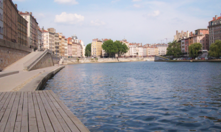 A Lyon, deux jeunes plongent dans la Saône et sauvent une femme en train de se noyer