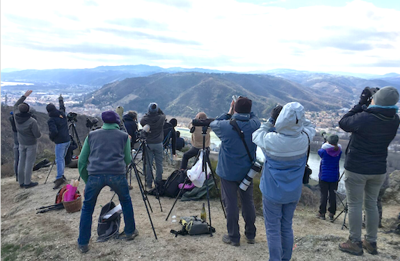 La Ligue de Protection des Oiseaux (LPO) vous propose d&rsquo;assister à la migration des cigognes blanches et autres migrateurs…