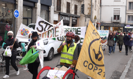 150 “Marcheurs” pour le climat à Vienne pour que la question climatique batte enfin la campagne électorale