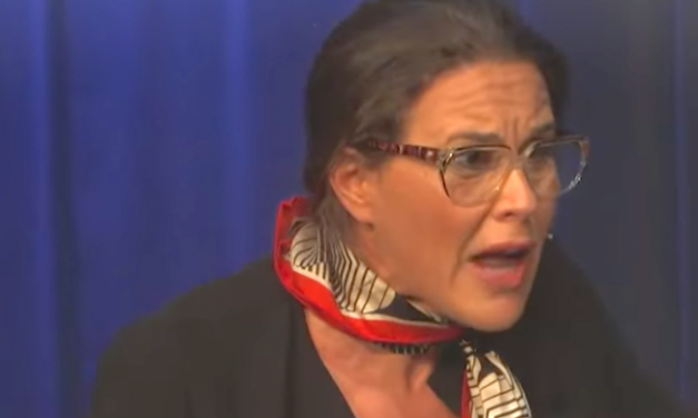 Jazz à Vienne, le grand retour de Cybèle ; l&rsquo;agenda du week-end,  etc. : le journal TV de Vienne