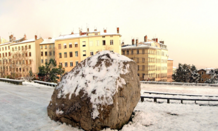 Neige : la Métropole lyonnaise a déclenché cet après-midi le dispositif de viabilité hivernale…