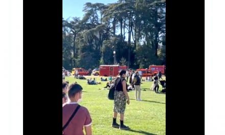 Chute d’un arbre parc de la Tête d’Or à Lyon : la mère et son bébé sauvés, une enquête lancée