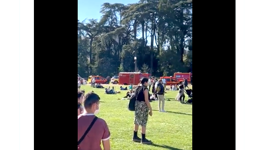 Chute d’un arbre au parc de la Tête d’Or à Lyon: pronostic vital engagé pour une maman et son bébé