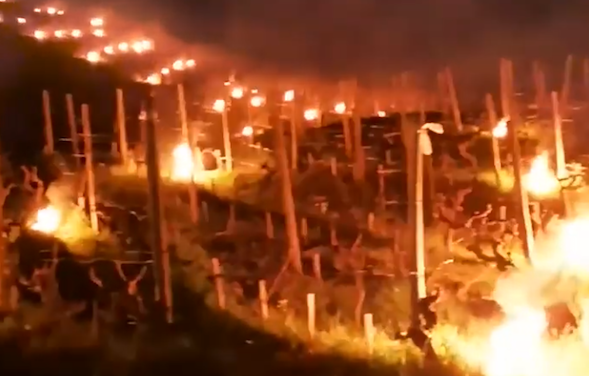 Le feu contre le gel dans les vignes, Les noces de Figaro au Manège, la Vogue, etc. : le journal TV de Vienne