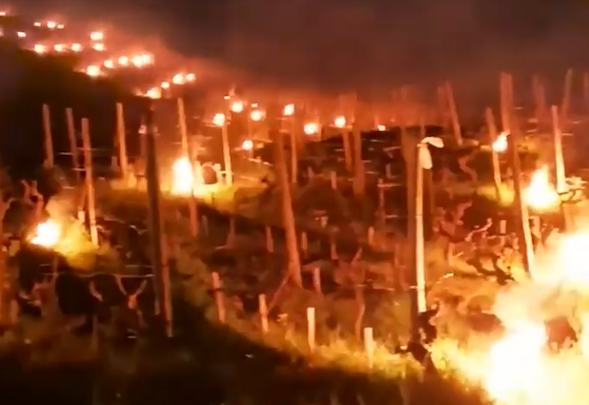 Le feu contre le gel dans les vignes, Les noces de Figaro au Manège, la Vogue, etc. : le journal TV de Vienne