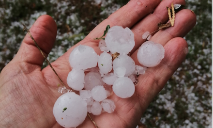 Orage de grêle du 23 juin : pour évaluer le classement de Vienne et alentours en état de catastrophe naturelle, appel au recensement des dégâts…