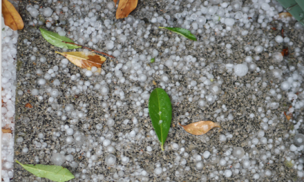 Orage de grêle sur Vienne, les vignobles également touchés au Nord d’Ampuis et à Saint-Cyr-sur-le-Rhône