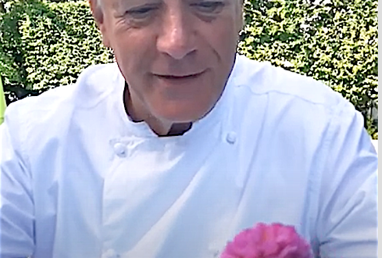 L&rsquo;étonnante histoire de la rose Fernand Point, l&rsquo;anniversaire des scouts au théâtre antique, etc. :  le journal TV de Vienne