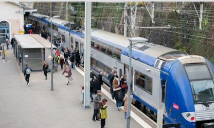 Conséquence des récents orages : perturbations du trafic pour cause de travaux sur la ligne TER Vienne/Lyon,