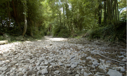 Présent en Isère, le ministre de la transition écologique Christophe Béchu annonce 4 000 contrôles sécheresse, 15 % ont donné lieu à des amendes…