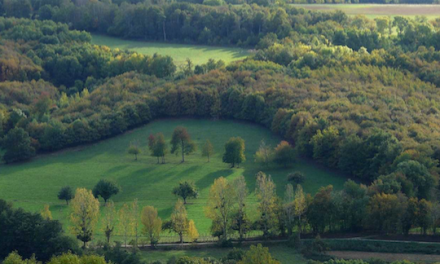 Risques d’incendie : le préfet interdit la circulation et l’accès de nombreux massifs forestiers de l’Isère dont la forêt de Chambaran