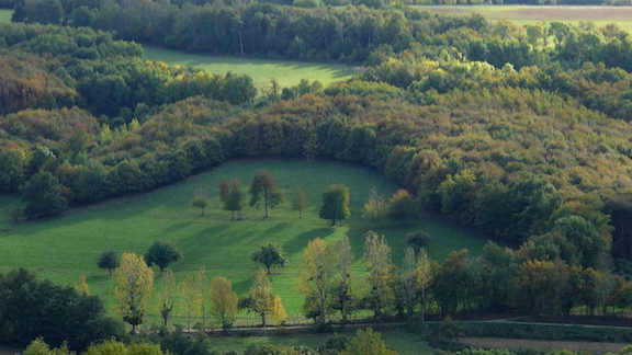 Risques d’incendie : le préfet interdit la circulation et l’accès de nombreux massifs forestiers de l’Isère dont la forêt de Chambaran