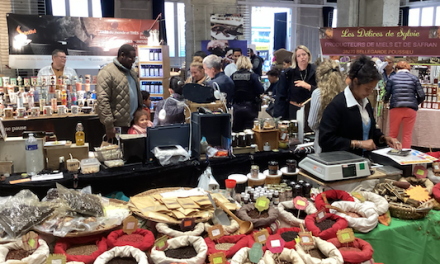 Le public a répondu présent à la Foire de Vienne XXL, les nouveaux salons convaincants, quelques améliorations à apporter…