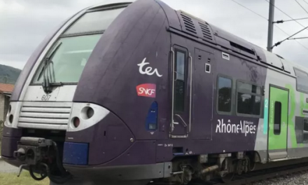 SNCF et TER, la grogne monte : à quand le RER à la Lyonnaise ?