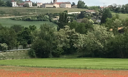 Rev’En Vert : ce week-end, Reventin-Vaugris fait son Festival écolo et bio