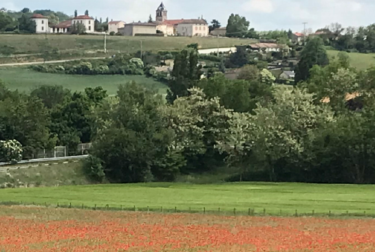 Rev’En Vert : ce week-end, Reventin-Vaugris fait son Festival écolo et bio