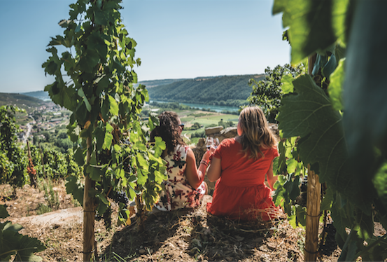 Dégustations, brunches, apéroJazz et randos : Bacchus en fête dans la Vallée du Rhône jusqu’à dimanche soir, avec le “Fascinant Week-end”