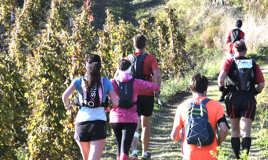 Ampuis : 2ème édition de « Trail en Côte-Rôtie » demain avec  plus de 1 000 coureurs attendus dans les vignes  pour cette compétition labellisée UTMB